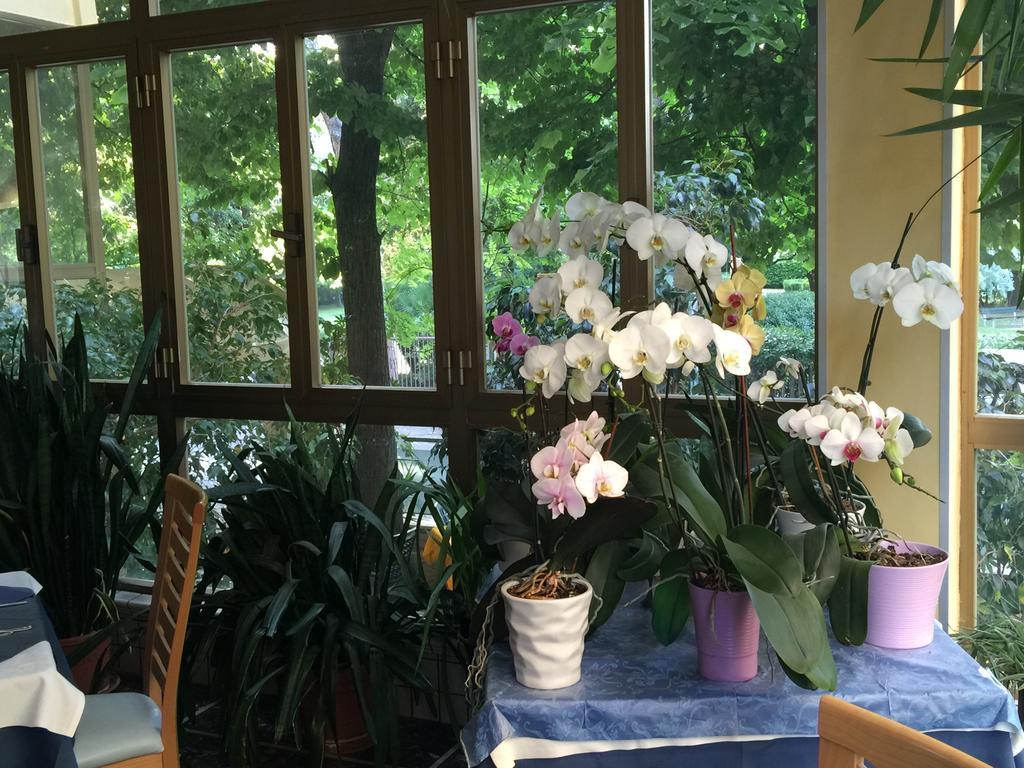 Hotel Athena Pesaro Zewnętrze zdjęcie